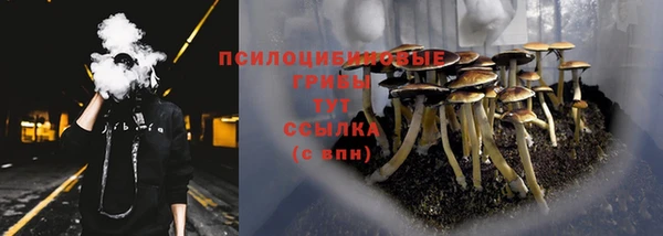 скорость Баксан